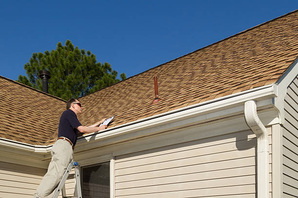 Best Roof Moss and Algae Removal  in Independent Hill, VA